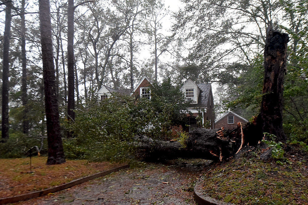 Hurricane Michael